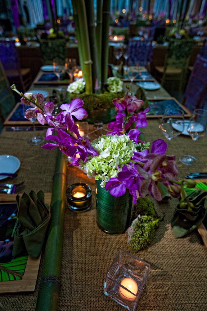 Stevan Talevski Photography : Events : Rogers & Gala Creative Partners, Inc| Commercial Christmas and Holiday Decor and Event Design and Production